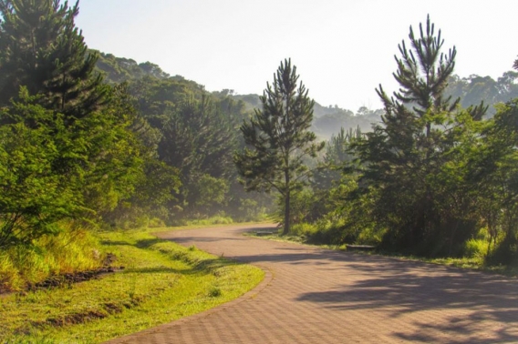 Região de Cotia ganha novo parque estadual