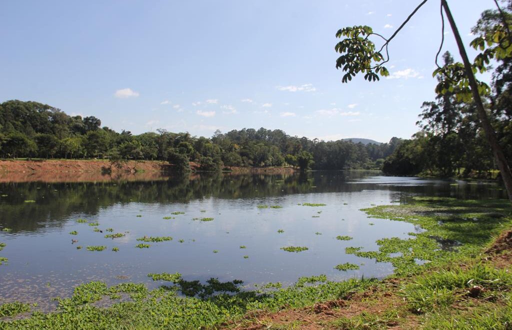 Sema inicia limpeza da lagoa do Parque Ecológico de Barueri
