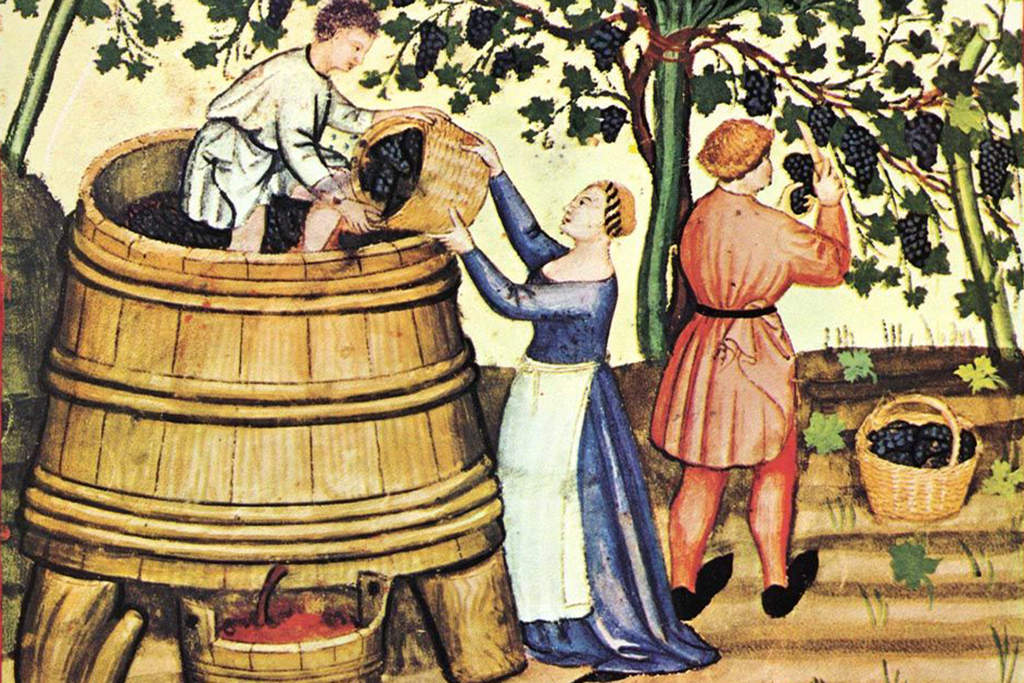 A origem da videira e do vinho | Breve história desde as suas origens até aos dias de hoje