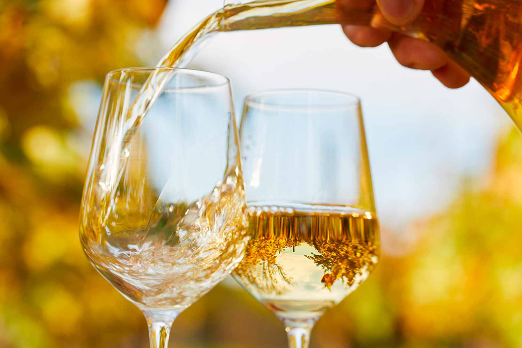 A origem da videira e do vinho – Breve história desde as suas origens até aos dias de hoje. Enologia moderna no início do século XX