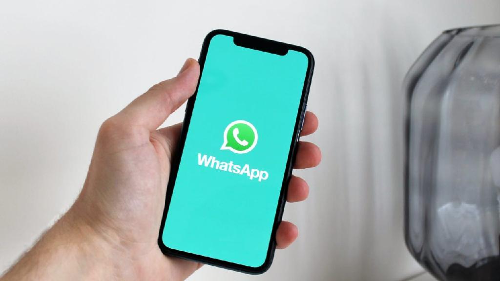 Parnaíba conta com canal de atendimento do procon pelo WhatsApp