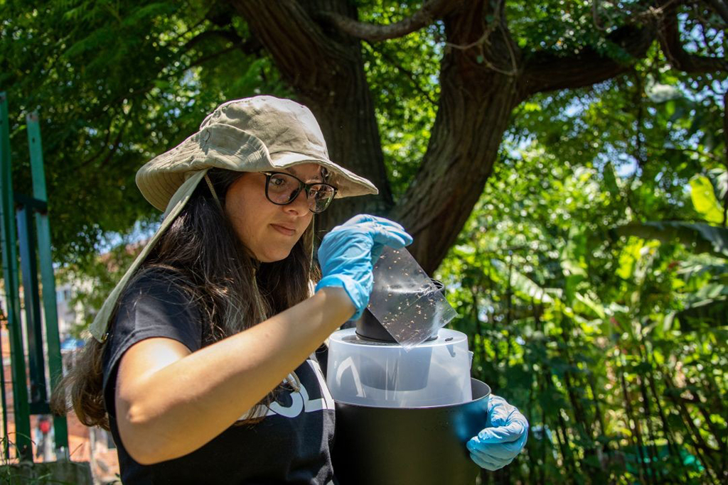 Parnaíba implementa armadilhas inteligentes e realiza ações no combate à dengue Parnaíba implementa armadilhas inteligentes e realiza ações no combate à dengue