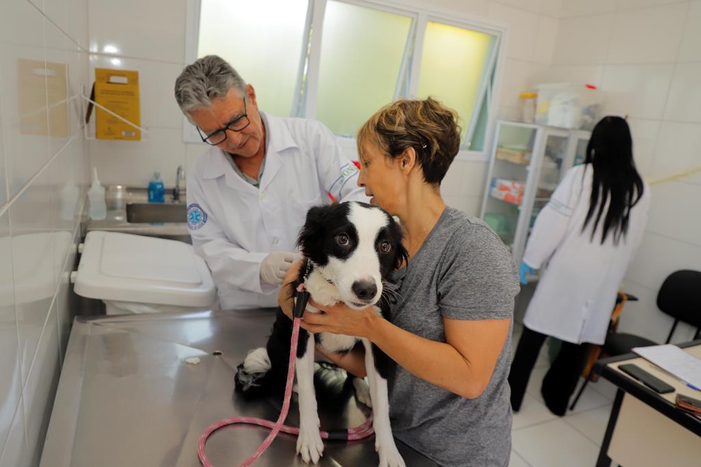 Vacinação contra raiva para pets continua em julho em Barueri