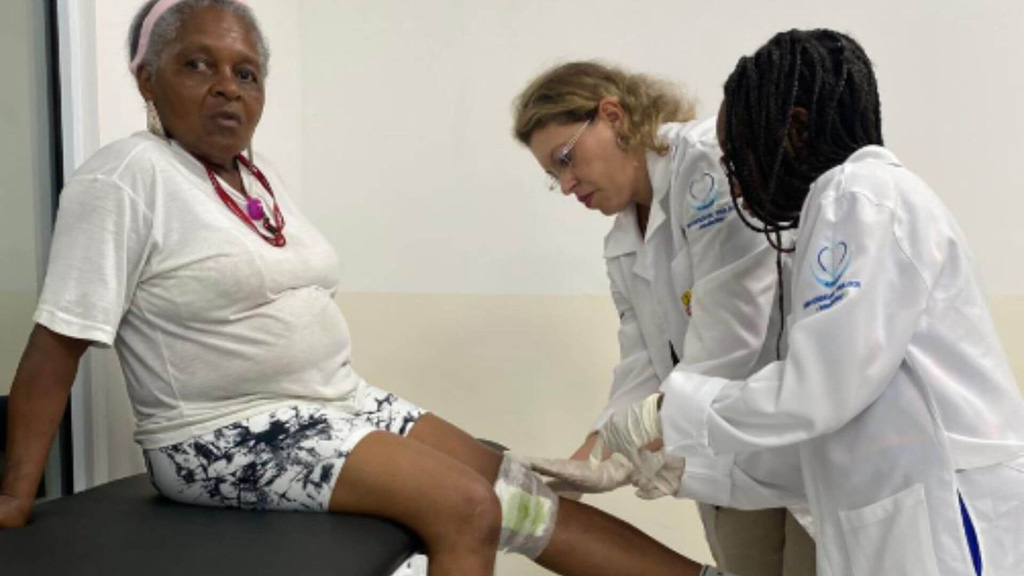 Alunos da UNIP Alphaville produzem fitoterápicos para alívio de dores