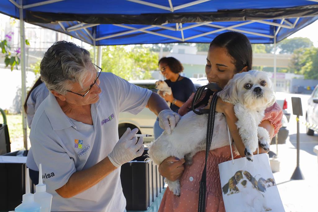 Vacinação antirrábica gratuita será realizada em dois sábados de setembro em Barueri Vacinação antirrábica gratuita será realizada em dois sábados de setembro em Barueri