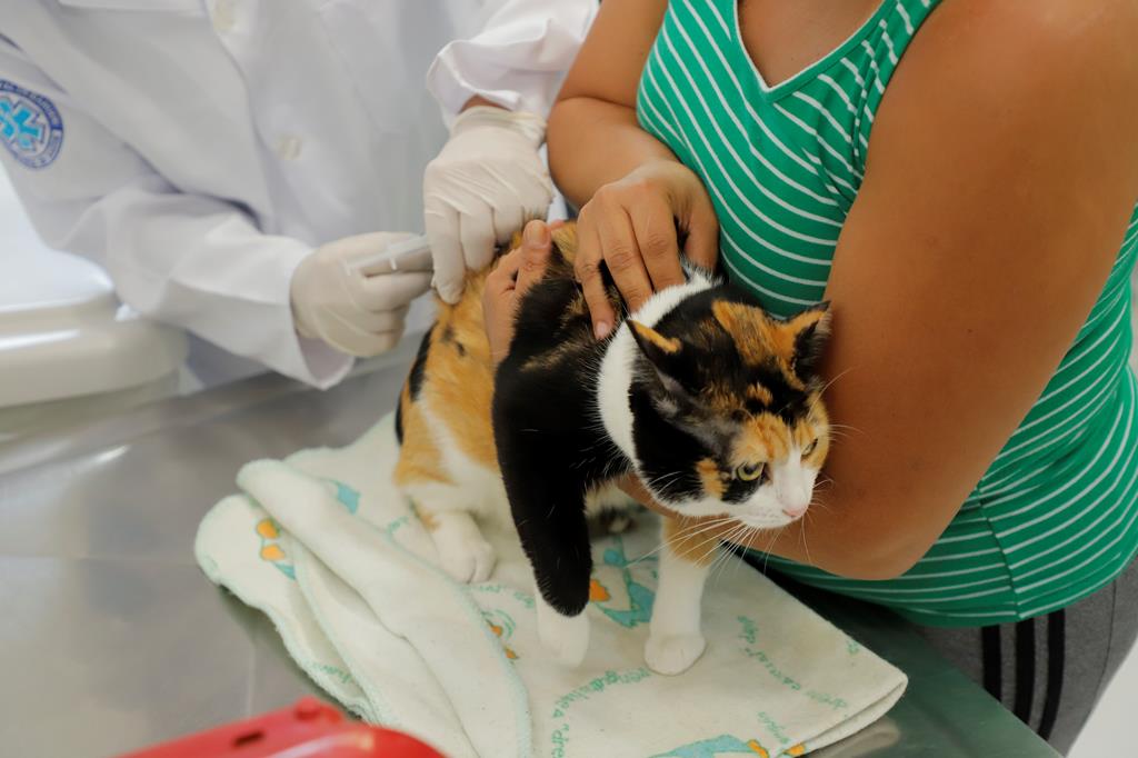 Vacinação gratuita contra raiva nos dias 18 e 19/10