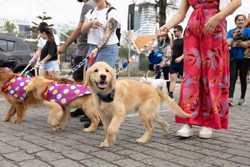 Caminhada Pet agita a Praça 14 de Novembro em Parnaíba neste sábado Caminhada Pet agita a Praça 14 de Novembro em Parnaíba neste sábado