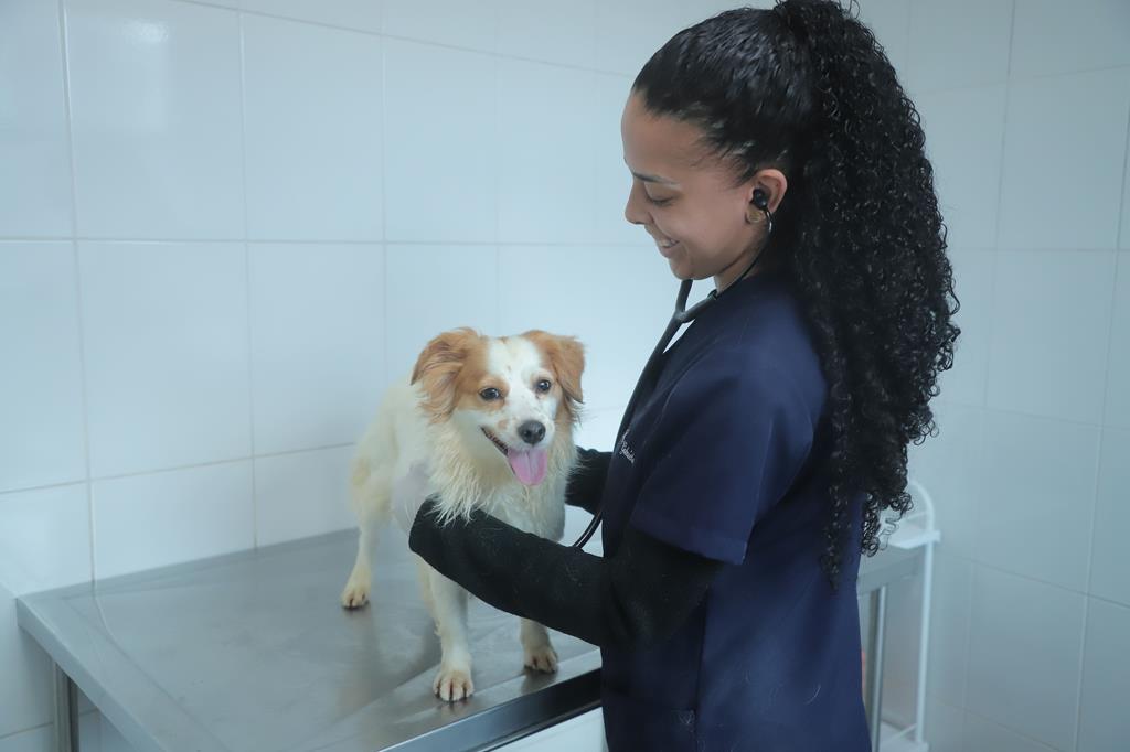 Agendamento de castração de pets será aberto no dia 5/11 Agendamento de castração de pets será aberto no dia 5/11