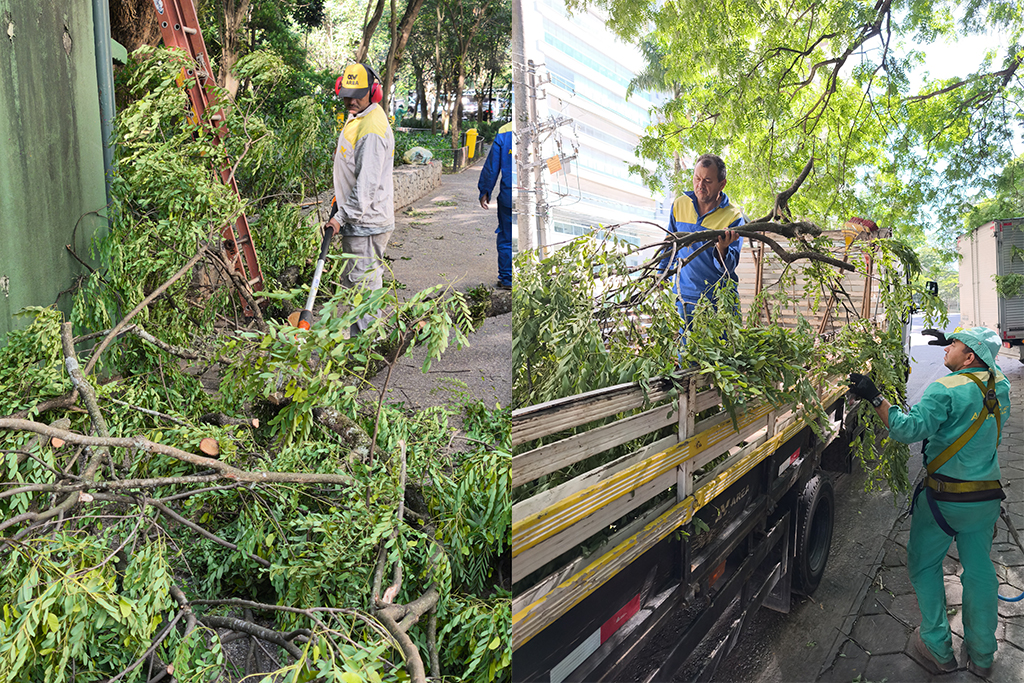 Ação rápida da AREA garante segurança e circulação após rajadas de vento Ação rápida da AREA garante segurança e circulação após rajadas de vento