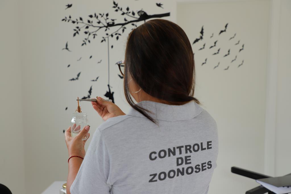 Barueri alerta para acidentes com animais peçonhentos