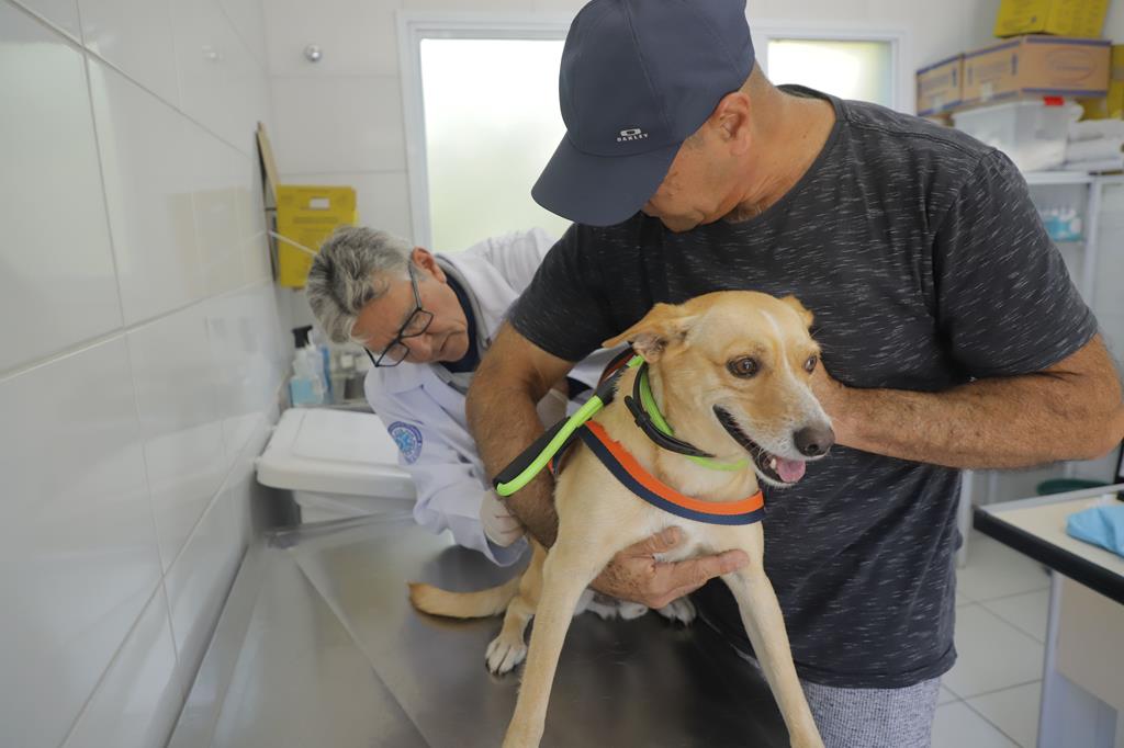 Vacinação antirrábica no CCPL Jaraguá Mirim em Barueri