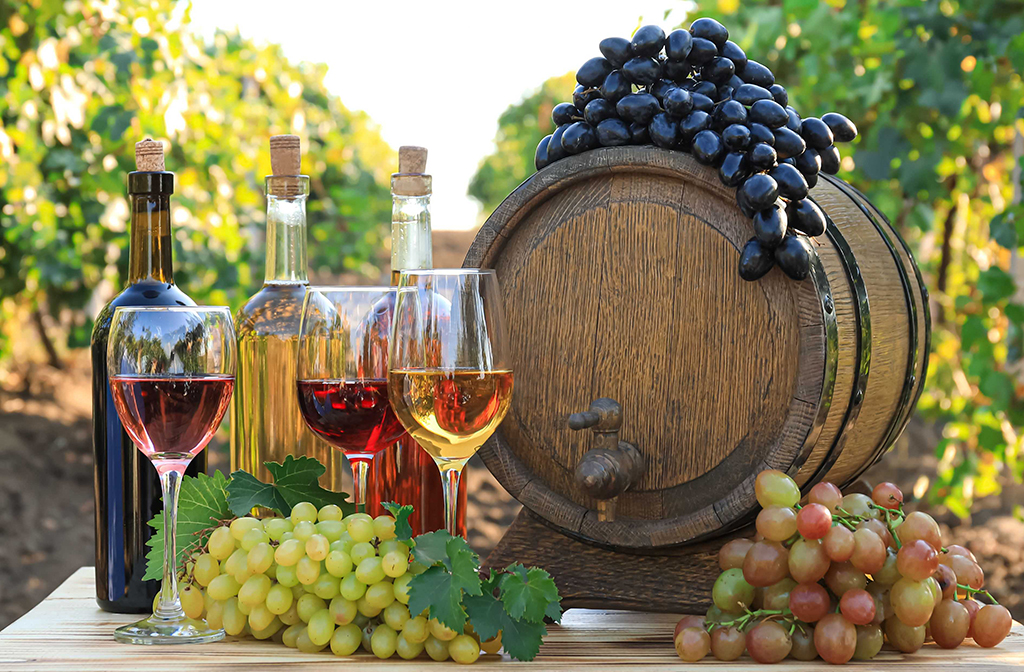 Sabores da Terra: Regiões que Produzem os Grandes Vinhos