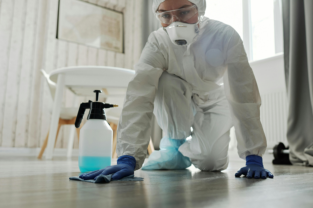 Como AFASTAR BACTÉRIAS da sua casa?