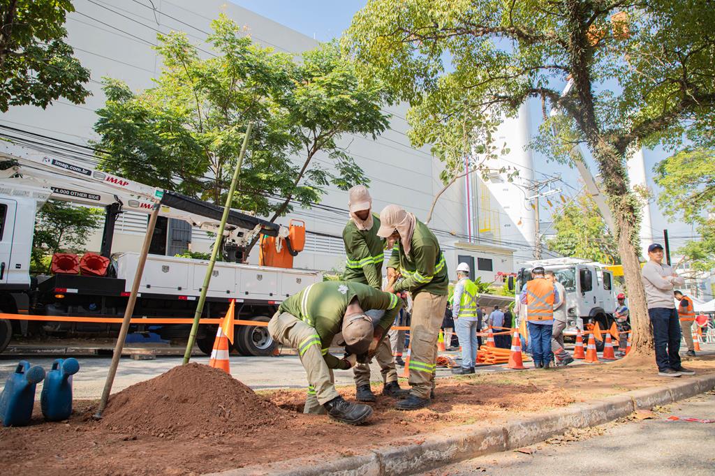 Barueri lança projeto para manejo seguro da arborização urbana Barueri lança projeto para manejo seguro da arborização urbana