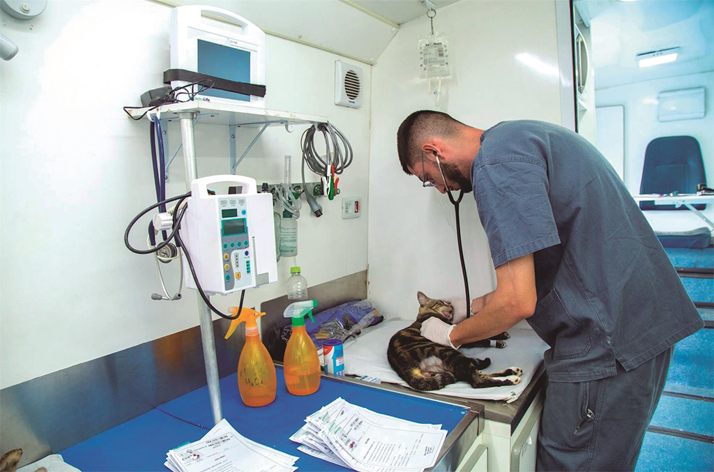 Santana de Parnaíba abre inscrições para castração gratuita de cães e gato Santana de Parnaíba abre inscrições para castração gratuita de cães e gato
