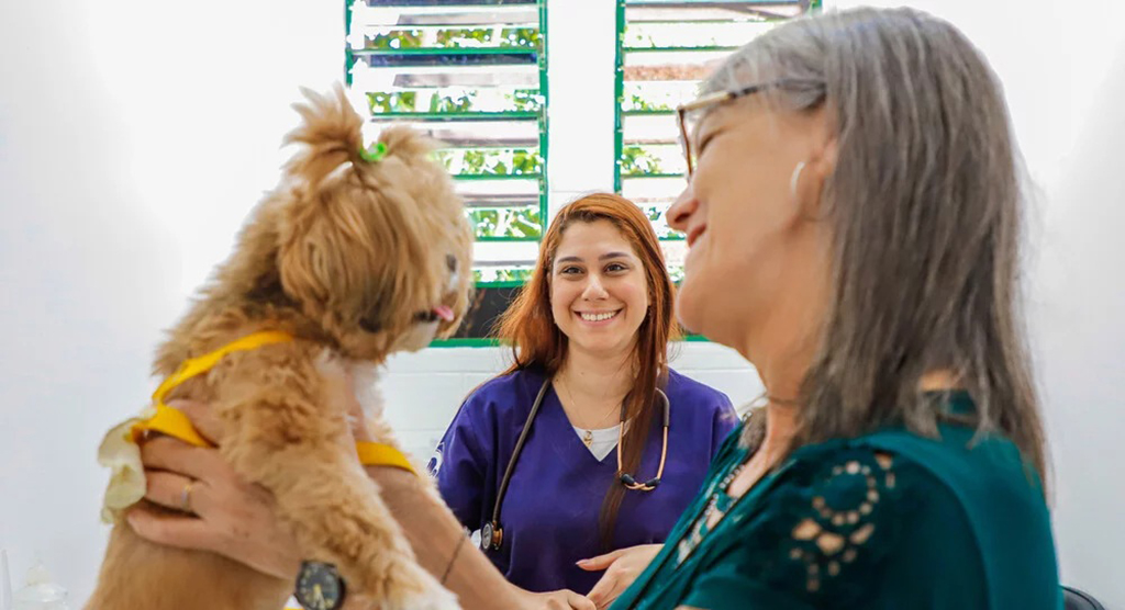 Osasco realiza vacinação gratuita contra a raiva em cães e gatos neste sábado Osasco realiza vacinação gratuita contra a raiva em cães e gatos neste sábado
