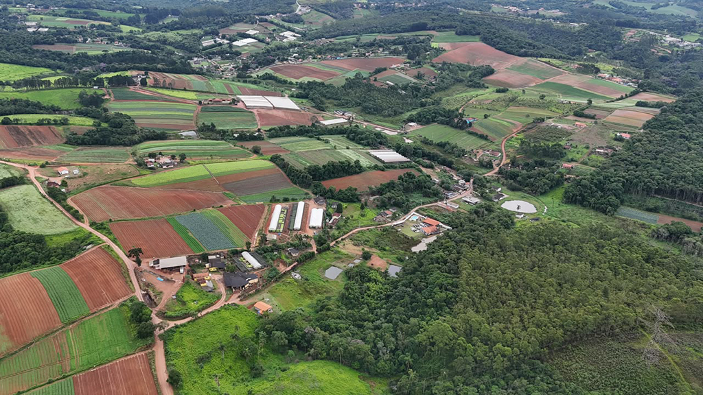 FEIAGRO reúne campo, negócios e lazer em Cotia FEIAGRO reúne campo, negócios e lazer em Cotia