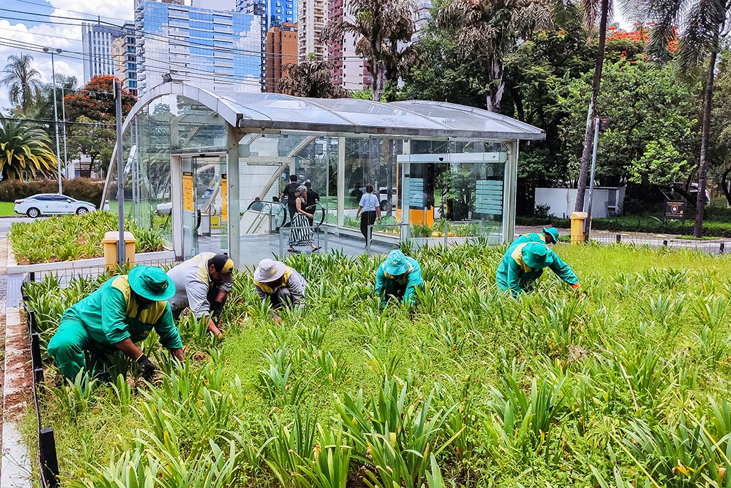 Primavera chega em setembro e a AREA reforça cuidados com os jardins