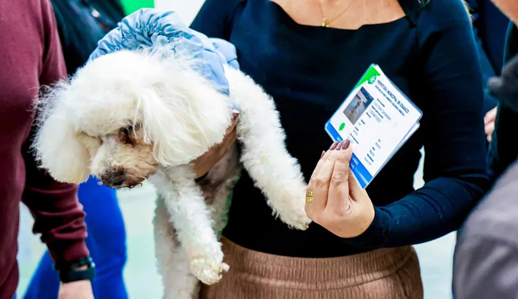 Osasco lança Censo Animal e disponibiliza RG para pets Osasco lança Censo Animal e disponibiliza RG para pets